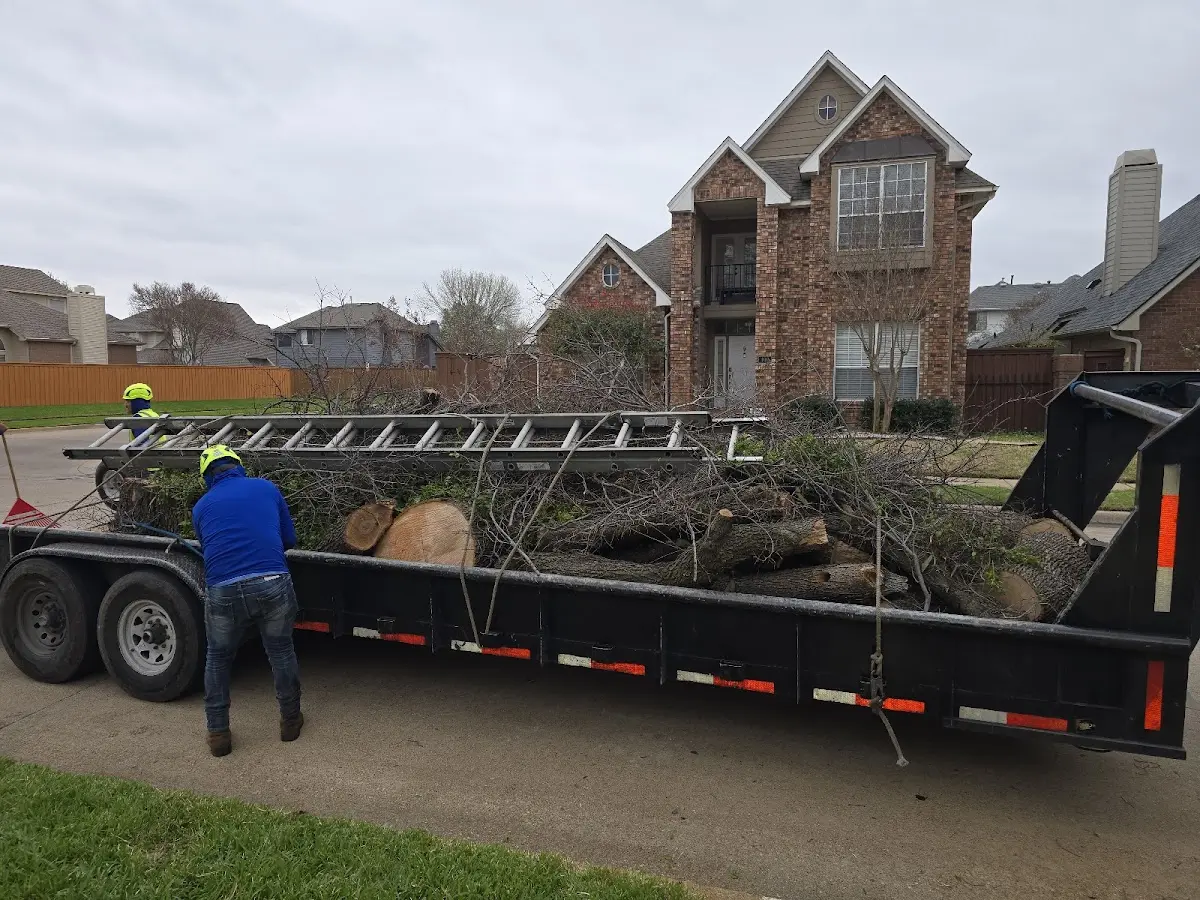 Expert Tree Removal with proper safety equipment in Little Falls